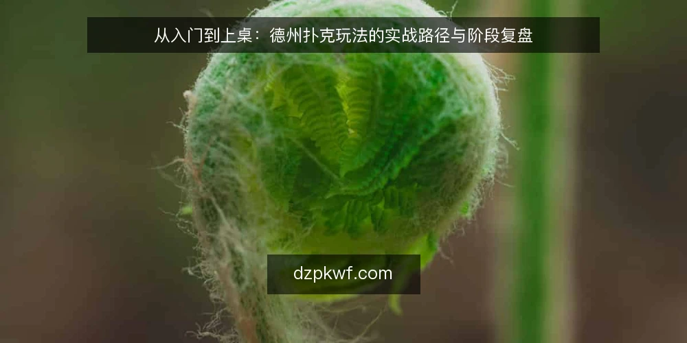从入门到上桌：德州扑克玩法的实战路径与阶段复盘 — 初上桌的常见困惑 配图